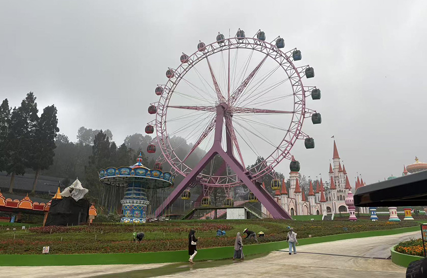 42m Ferris wheel 5FW-09
