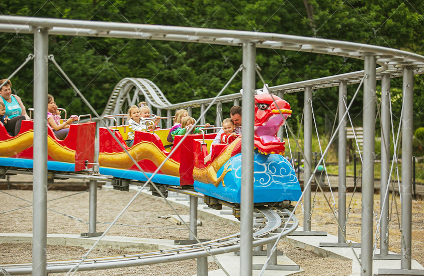 Sliding Dragon Roller Coaster 5RC-05