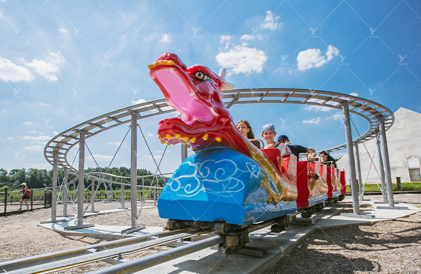 Sliding Dragon Roller Coaster 5RC-05
