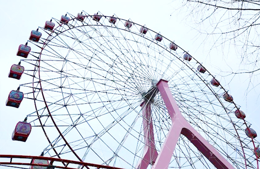 50m Ferris Wheel 5FW-12