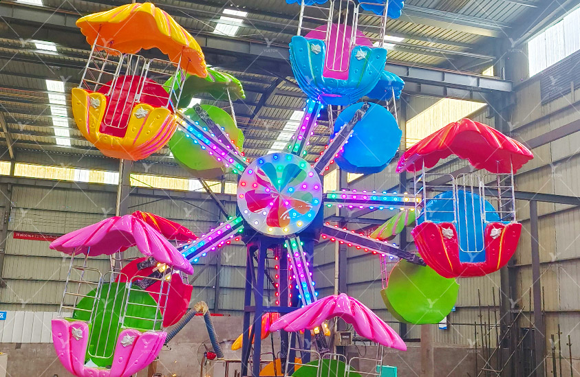 Double Side Ferris Wheel 5FW-14