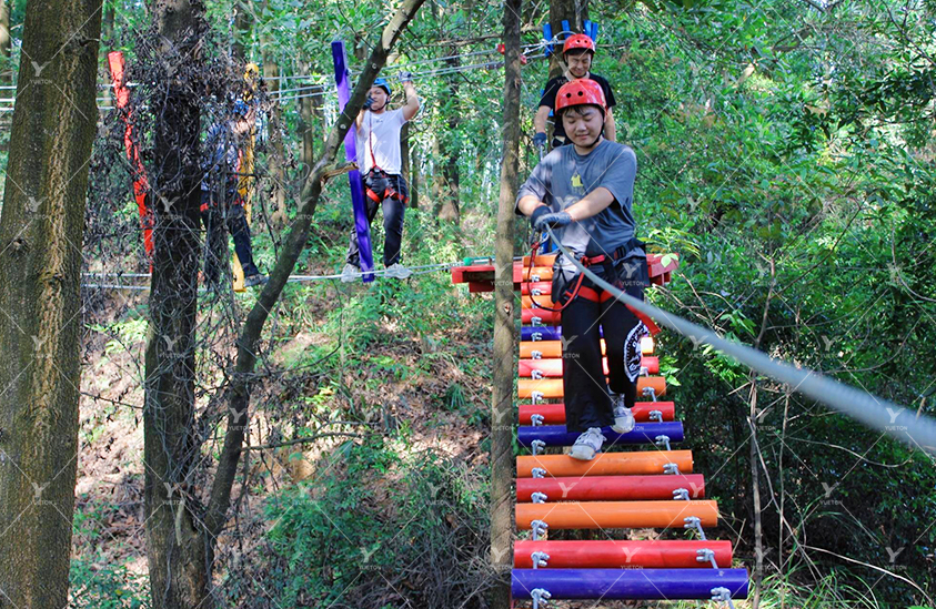 Jumping crossing 5NP-03