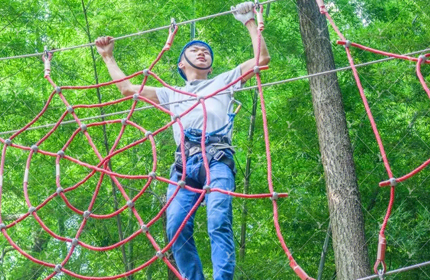 Jumping crossing 5NP-03
