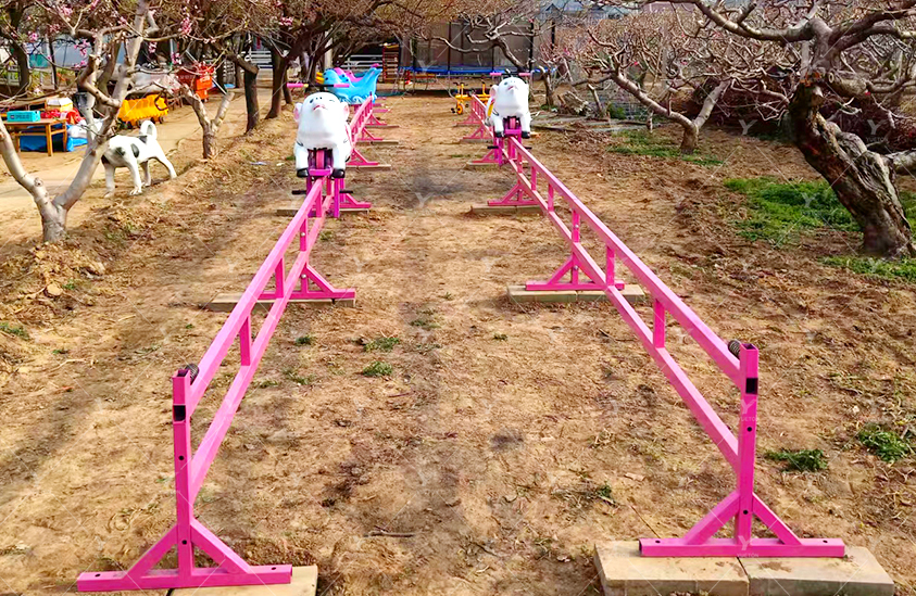 Piggy race 5NP-18
