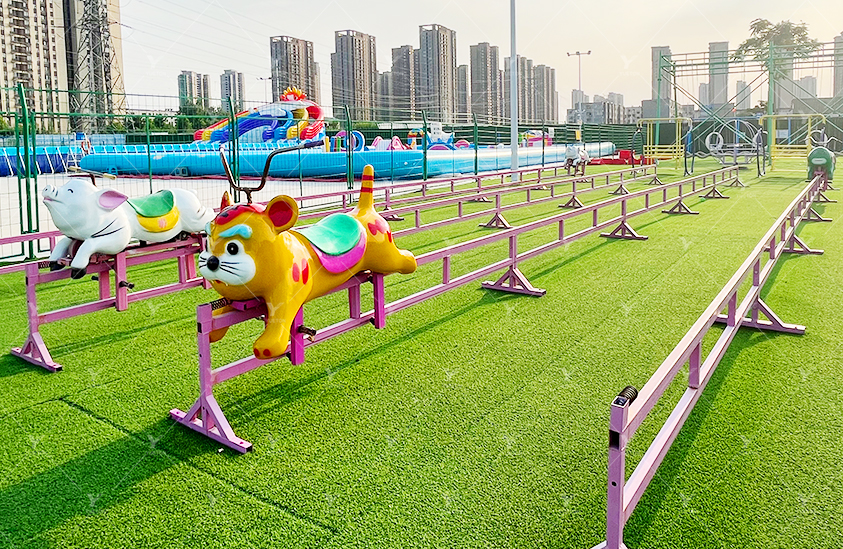 Piggy race 5NP-18