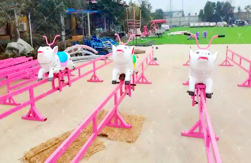 Piggy race 5NP-18